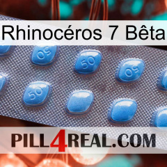 Rhinocéros 7 Bêta viagra3